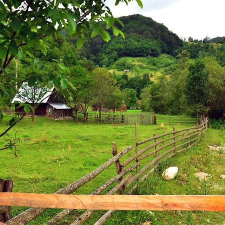 Pensiunea Valea Pinului Rau Sadului Bagian luar foto