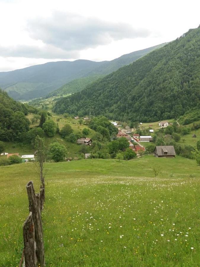 Pensiunea Valea Pinului Rau Sadului Bagian luar foto