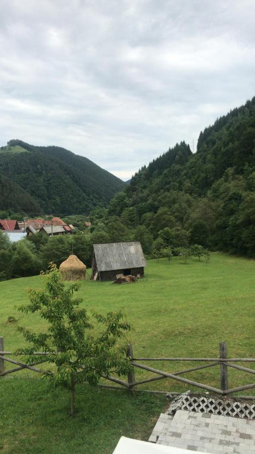 Pensiunea Valea Pinului Rau Sadului Bagian luar foto