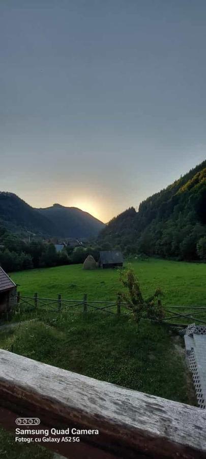 Pensiunea Valea Pinului Rau Sadului Bagian luar foto