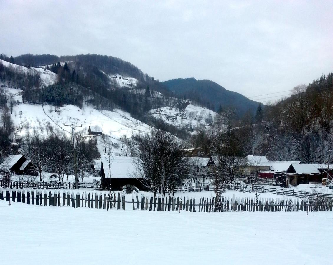 Pensiunea Valea Pinului Rau Sadului Bagian luar foto